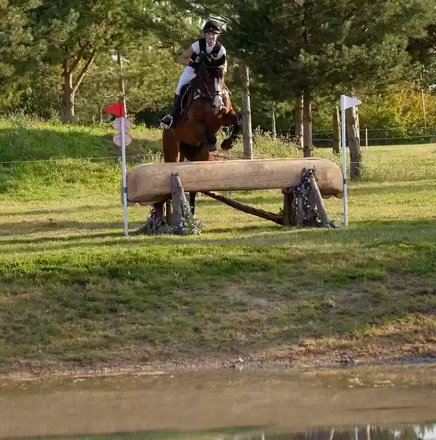 Free download Horse Jumping Cross Country -  free photo or picture to be edited with GIMP online image editor