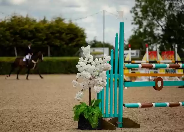 Free download Horse Jumping Equestrian -  free photo or picture to be edited with GIMP online image editor