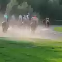 Horse racing competition  screen for extension Chrome web store in OffiDocs Chromium