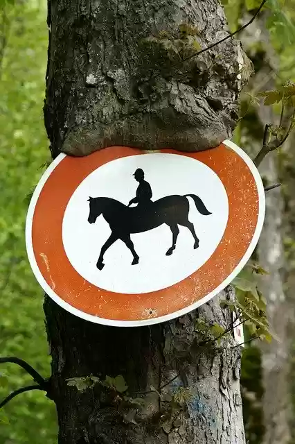 Free download Horse Riding Prohibited Tree -  free photo or picture to be edited with GIMP online image editor