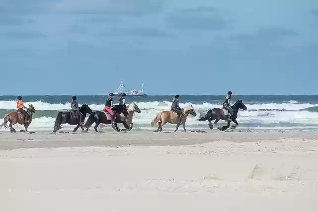 Free download Horses Beach Sand -  free photo or picture to be edited with GIMP online image editor
