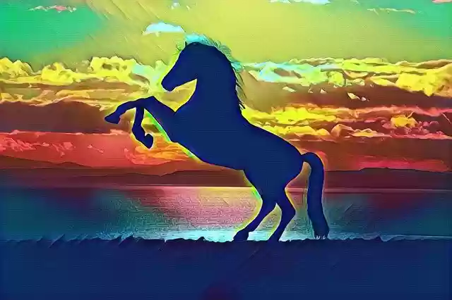 Free download Horse Silhouette Colorful -  free illustration to be edited with GIMP free online image editor
