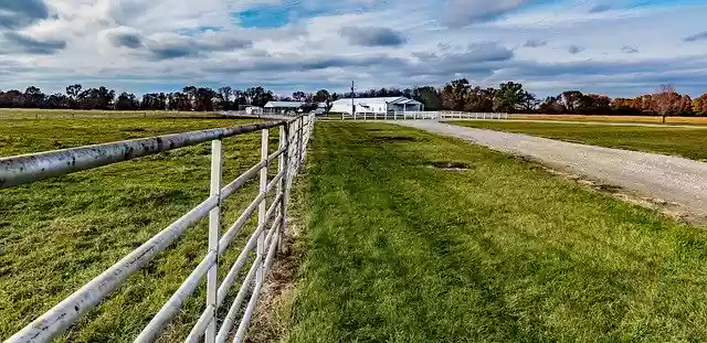 Free download Horse Stable Fence Pipe Fencing -  free photo or picture to be edited with GIMP online image editor
