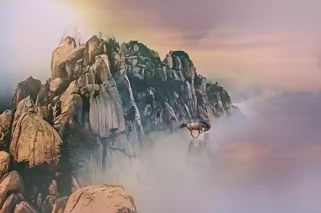 Free download Horse Wild Mountains -  free illustration to be edited with GIMP free online image editor