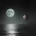Hot air balloon at night  screen for extension Chrome web store in OffiDocs Chromium