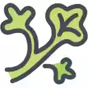 Hot Air Balloon Landscape Planet  screen for extension Chrome web store in OffiDocs Chromium