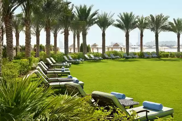 Free download hotel resort beach luxury exterior free picture to be edited with GIMP free online image editor
