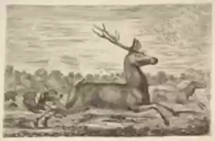 Free download Hounds Chasing a Stag and a Doe free photo or picture to be edited with GIMP online image editor