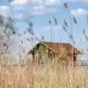 House and hay  screen for extension Chrome web store in OffiDocs Chromium