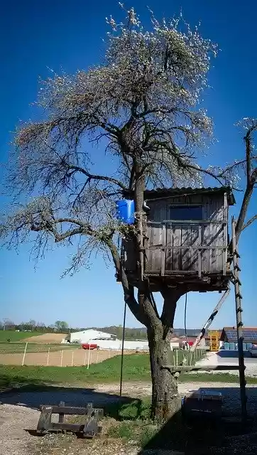 Free download House Cottage Treehouse -  free photo or picture to be edited with GIMP online image editor