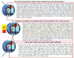 Free download How Did Emerge The First Mothers Whose Founded The Current Living Beings 17 free photo or picture to be edited with GIMP online image editor