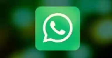 Free download How To Add Someone On Whats App Easy Steps free photo or picture to be edited with GIMP online image editor