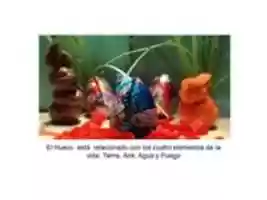 Free download Huevos 3 free photo or picture to be edited with GIMP online image editor