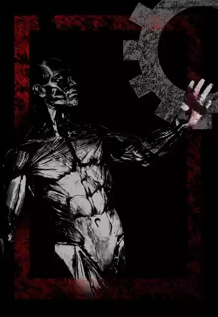 Free download Human Anatomy Anatomical -  free illustration to be edited with GIMP free online image editor