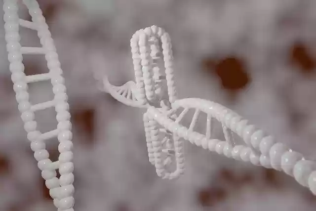 Free download human dna genetic cytosine free picture to be edited with GIMP free online image editor