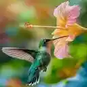 hummingbird wallpaper  screen for extension Chrome web store in OffiDocs Chromium