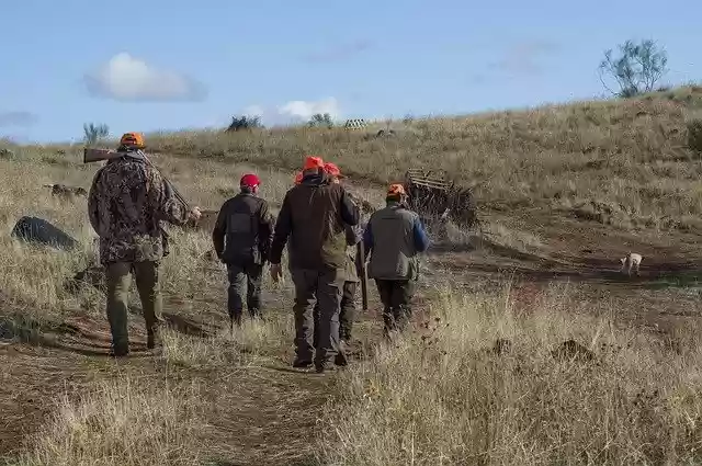 Free download Hunting Hunters Guns -  free free photo or picture to be edited with GIMP online image editor