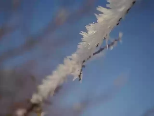 Free download Ice Crystal Branch Winter -  free photo or picture to be edited with GIMP online image editor