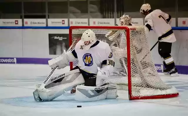 Free download Ice Hockey Sport -  free photo or picture to be edited with GIMP online image editor