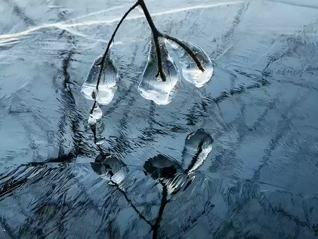 Free download Ice Icicles Water -  free photo or picture to be edited with GIMP online image editor