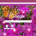 Ice Plant  screen for extension Chrome web store in OffiDocs Chromium