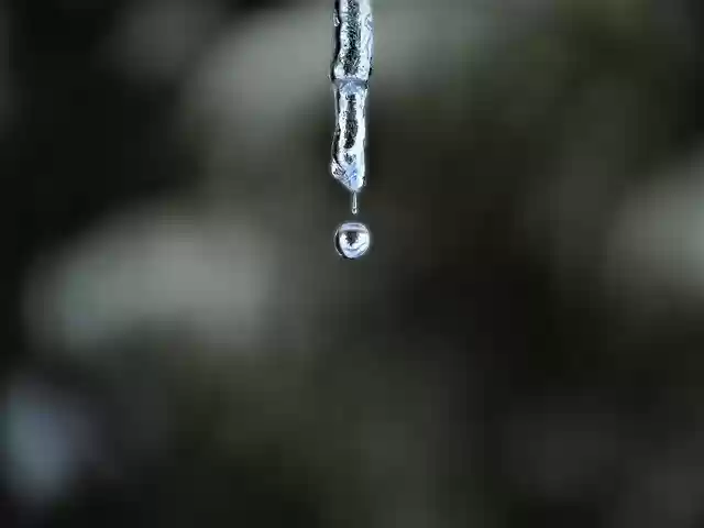 הורדה חינם של Icicle Dripping - תמונה או תמונה בחינם לעריכה עם עורך התמונות המקוון GIMP