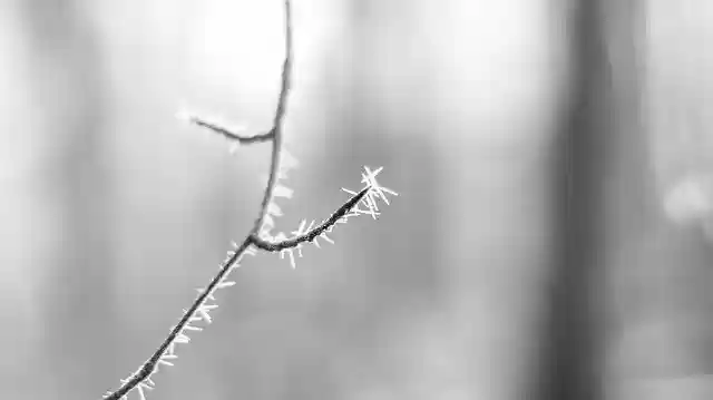 Free download Icicle Snow Winter -  free photo or picture to be edited with GIMP online image editor
