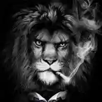 Free download Icon Kodi King free photo or picture to be edited with GIMP online image editor