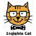 ICS Ingestion IDAR  screen for extension Chrome web store in OffiDocs Chromium