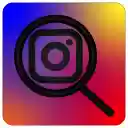 IGLarge  screen for extension Chrome web store in OffiDocs Chromium