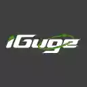 iGuge  screen for extension Chrome web store in OffiDocs Chromium