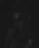 Free download I Hate Asmr free photo or picture to be edited with GIMP online image editor