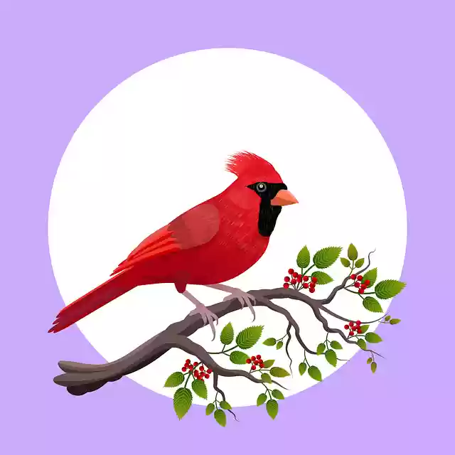 Free download Illustration Christmas Branch -  free illustration to be edited with GIMP free online image editor