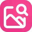 Image Downloader Pro Tool  screen for extension Chrome web store in OffiDocs Chromium