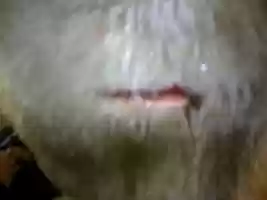 Free download IMAGE MEMORY 2007 1119-1231 free photo or picture to be edited with GIMP online image editor