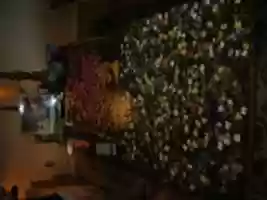 Free download IMAGE memory dump 2007 1122 - 2008 0129 free photo or picture to be edited with GIMP online image editor