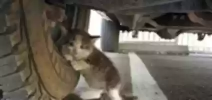 Free download IMAGENG free photo or picture to be edited with GIMP online image editor