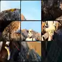 image puzzle  screen for extension Chrome web store in OffiDocs Chromium