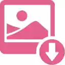 Image  Video Downloader for Ins  screen for extension Chrome web store in OffiDocs Chromium