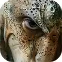 imagine octopus skin human face sea creature  screen for extension Chrome web store in OffiDocs Chromium