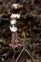 Free download IMG 0878js free photo or picture to be edited with GIMP online image editor