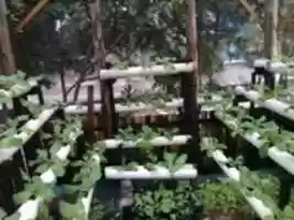 Free download IMG 20151016172413 free photo or picture to be edited with GIMP online image editor