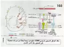 Free download img234 free photo or picture to be edited with GIMP online image editor