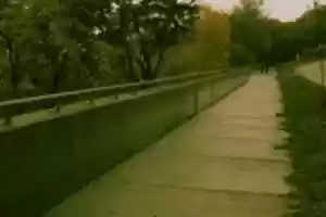 Free download IMGP 1044 free photo or picture to be edited with GIMP online image editor