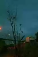 Free download IMGP 7095 free photo or picture to be edited with GIMP online image editor