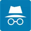 InCognito  screen for extension Chrome web store in OffiDocs Chromium