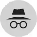 IncognitoBrowser  screen for extension Chrome web store in OffiDocs Chromium