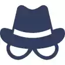 Incognito Search  screen for extension Chrome web store in OffiDocs Chromium