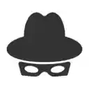 Incognito theme  screen for extension Chrome web store in OffiDocs Chromium