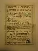 免费下载 Incontro con Maire OShea 的照片或图片，可使用 GIMP 在线图像编辑器进行编辑。